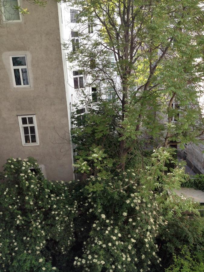 Augartenblick Penthouse 15 Bécs Kültér fotó